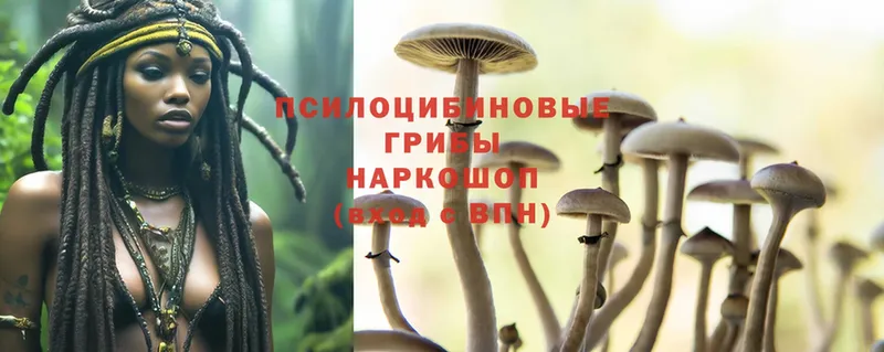 ссылка на мегу ССЫЛКА  Балахна  Псилоцибиновые грибы MAGIC MUSHROOMS 